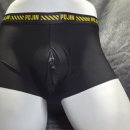 모데린느