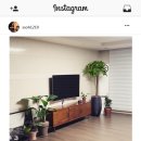 오투와이드 이미지