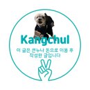 창원건강검진 근로복지공단 창원병원 대장 내시경 후기 준비부터 검사까지 내동 맛집 추천 내돈내산