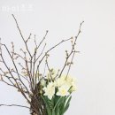 바이 조조 이미지