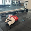 김지산 복싱센터 이미지