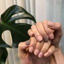 더반함 (the‘ 반함 ) 이미지