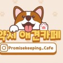약지애견카페