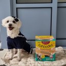 A플러스덴탈 이미지