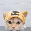 잔다냥 천안점 이미지