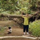 제이콥농장 이미지