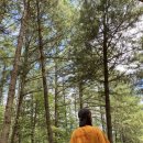 추동캠프 이미지