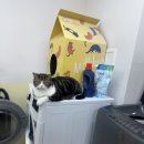 세븐일레븐 대구상인대동점 | 대구 레이어드컷 전문 헤어샵 유닝헤어 상인점