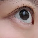 무유나유 이미지