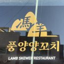 풍양양꼬치 - 서귀포시 홍중로 4 | 풍양양꼬치