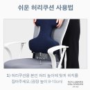 아케소 | 허리디스크 환자 추천템 , 아케소 의자허리쿠션 사용 후기