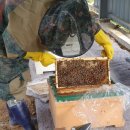 태광 에너지발전소 이미지