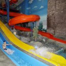 라이프스포츠 이미지