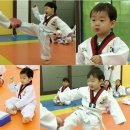 위풍당당 태권도장 이미지