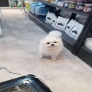 보문산로 이미지