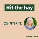 온라인)생활영어회화 중급 이미지