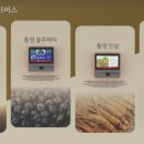 디나인컴퍼니