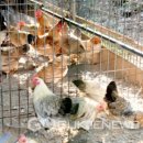 현인농원 이미지