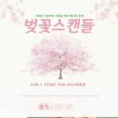 엠앤엠 컴퍼니