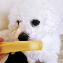 올데이멍 이미지