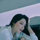 다시 봄 이미지