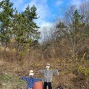 상송농장 이미지