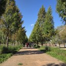 진북초등학교 이미지