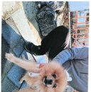 남원용성초등학교 이미지