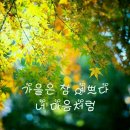 문어통발 네이버블로그