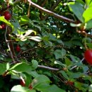 미륵산계곡꿈의궁전마을 이미지