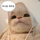 2021 청년 내일채움공제 24회차 적금 만기신청 후기, 및 기간 정리(입금완료 후기업데이트)