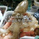 서울 구로맛집 통큰고기소문 2층 양고기, 소고기 샤브샤브 해물 무한리필 및 우삼겹, 토시살, 오겹살, 삼겹살, 오리고기, 가브리살, 야채, 홍합, 갑오징어, 쭈 이미지