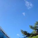 석사2체육관 이미지