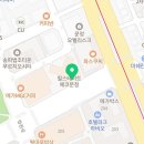 타이니퍼피 강아지분양 고양이분양 서울송파 | [송파고양이분양]수입묘 핑크골드 먼치킨 &#34;애쉬&#34; 공주님을 소개합니다! 먼치킨분양/먼치킨