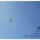 주식회사 이지차저 이미지