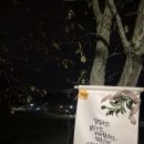 25.10.19설악산 흘림골~주전골 이미지