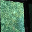 인메드 | 일본 이시가기 여행지 추천! ( + 클럽메드 4박5일 숙박후기)