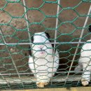 강원한우체험농장 이미지