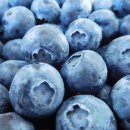 이명희농장 이미지