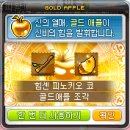 애플헤어스토리 이미지