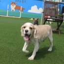 봉주르봉구 이미지