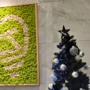 강릉조은이플란트치과의원 이미지