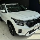 신차돌