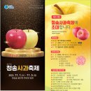청송사과 티스토리