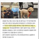 피티 아지트(PT AZIT) 이미지