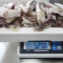 오징어랑전어랑 - 관악구 문성로 98 | 오징어랑전어랑