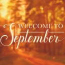 벨리댄스(중급) 이미지