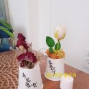 행잉플랜트 공기정화식물체험 이미지