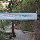 세도농협주유소 이미지