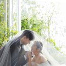12스튜디오 이미지